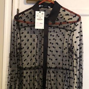 Zara Sheer Polka Dot Dress